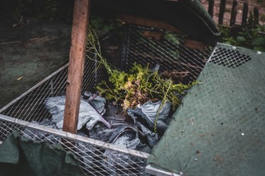 Zéro Déchet : Séance pratique compostage-paillage