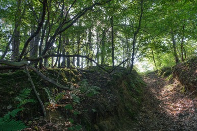 Talus sablonneux © Francis Kania