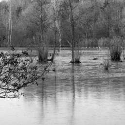 Grand Cortil 2018 © Lena De Boeck