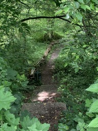 Sentier © Dominique Gilbart